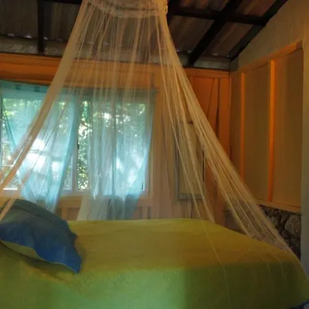 Mosana Reef Garden B&B Bocas del Toro Exterior photo