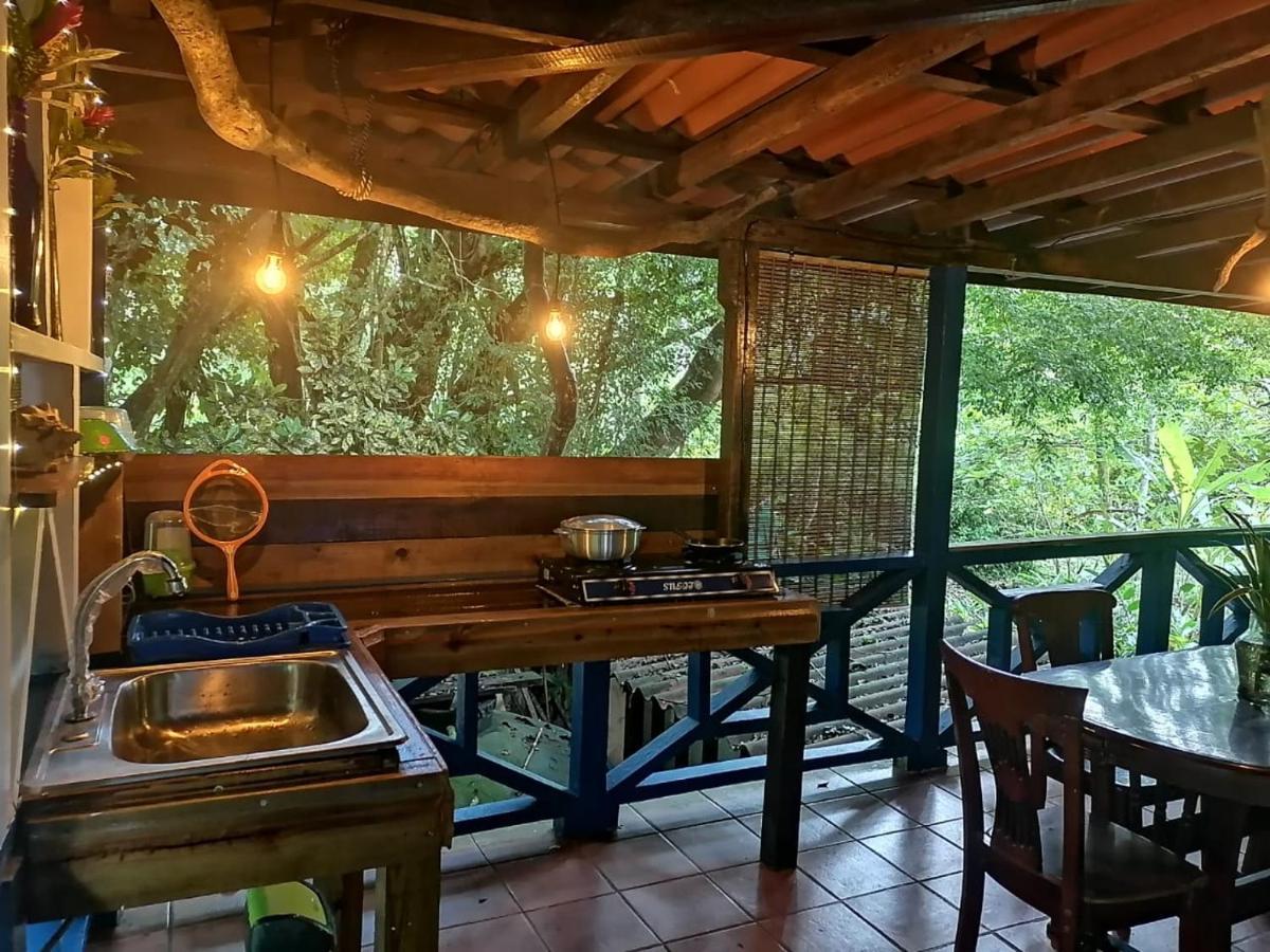 Mosana Reef Garden * Bocas del Toro