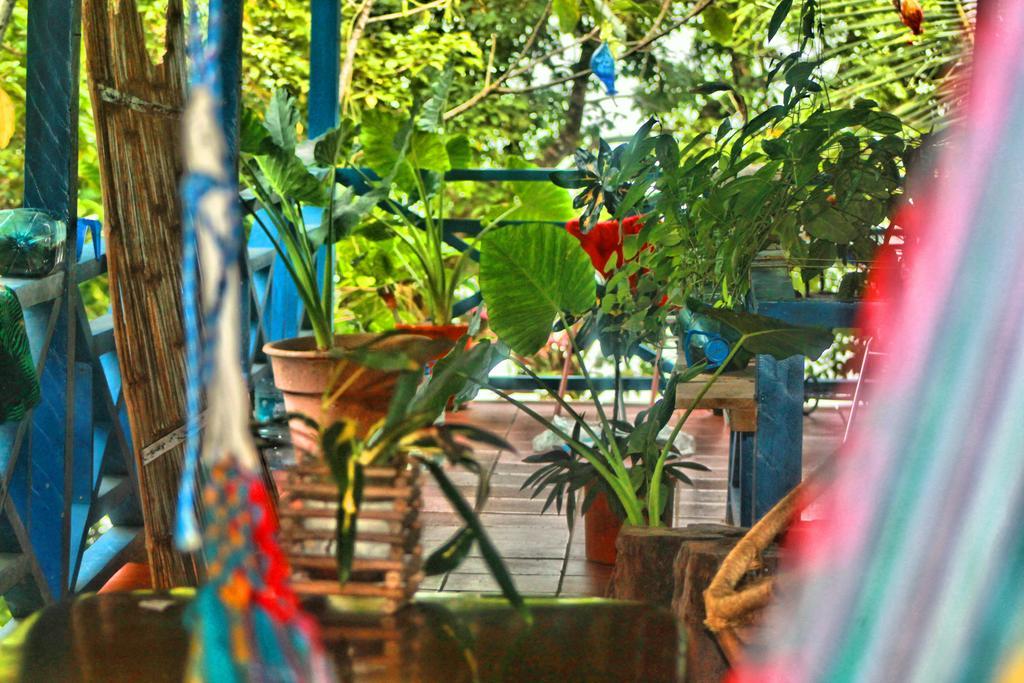 Mosana Reef Garden Guest house