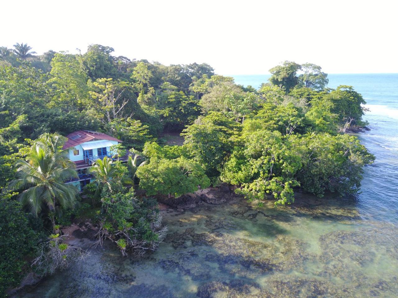Mosana Reef Garden * Bocas del Toro