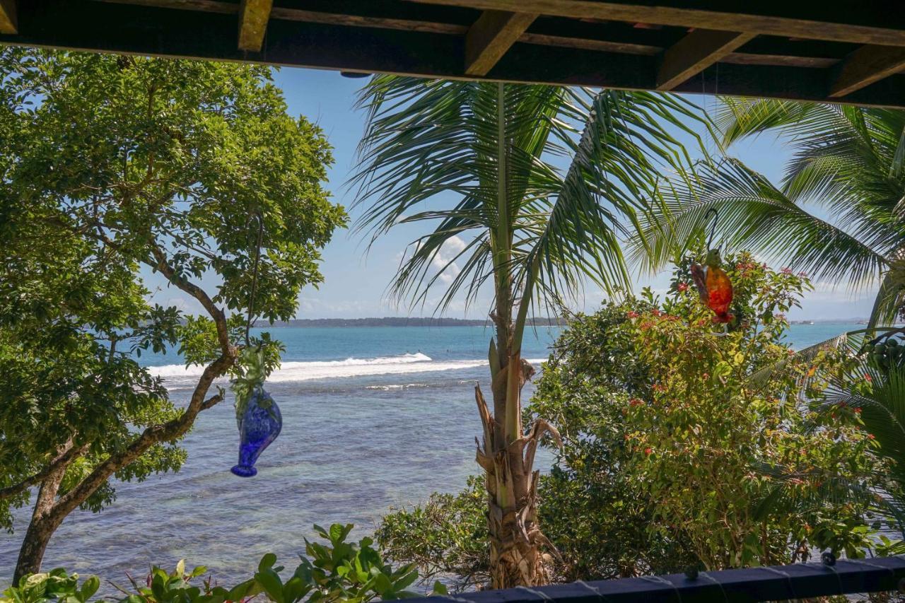 Mosana Reef Garden * Bocas del Toro