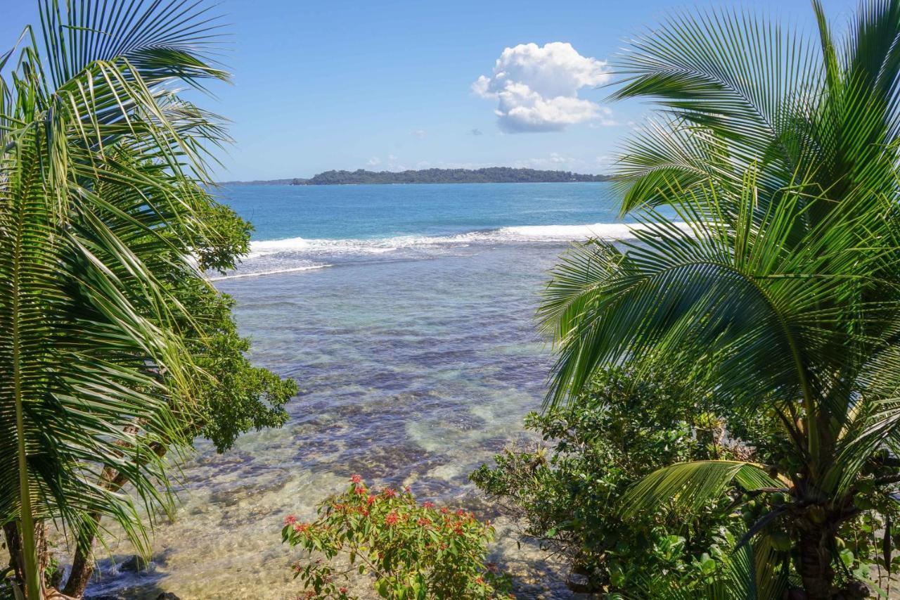 Mosana Reef Garden Guest house