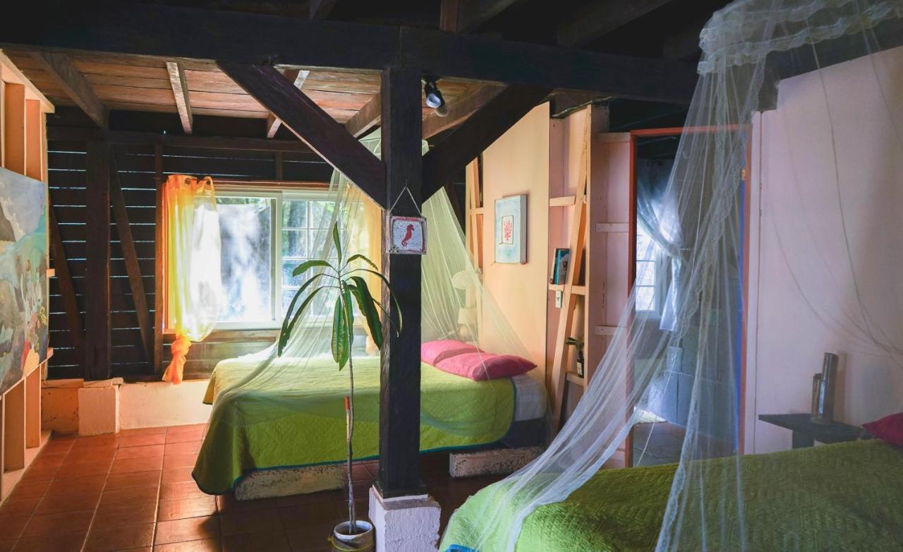 Mosana Reef Garden Guest house Bocas del Toro